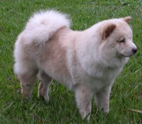 dscn0019.JPG