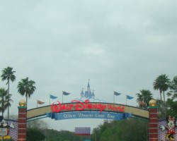 Walt Disney World