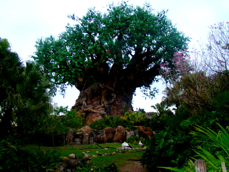 Walt Disney World