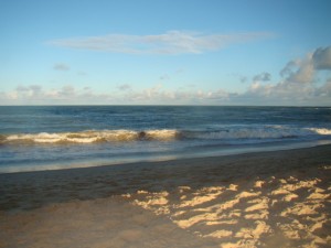 DSC07387