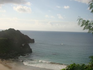 DSC07419