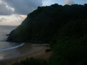DSC07427