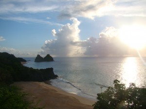 DSC07538