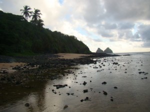 DSC07650