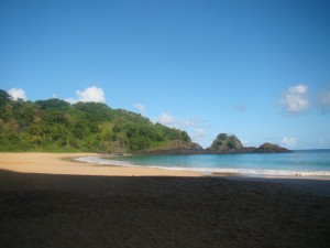 DSC07722