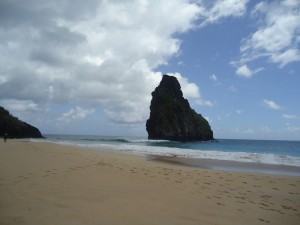 DSC08475