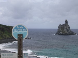 DSCN1610