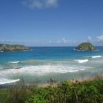 DSC09005