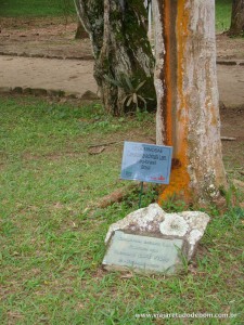 DSC05166