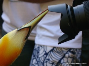 DSC08237 2