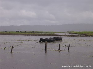 DSCN0586