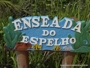 DSCN0593