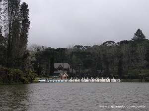 DSCN2157
