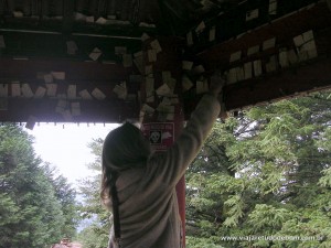DSCN2214 e
