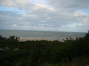 DSC08749