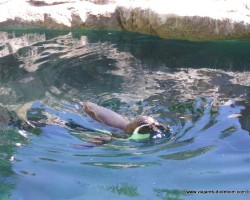 zoo de Barcelona