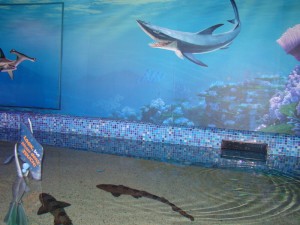 DSC05085 (2)