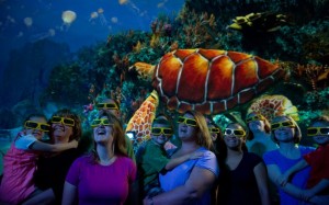 turtle trek
