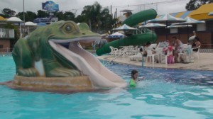DSC00650