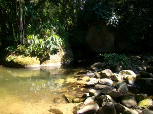 DSC02014