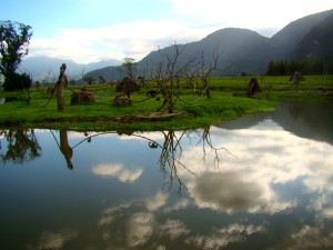 DSC02028