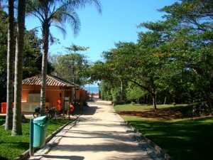 DSC02582