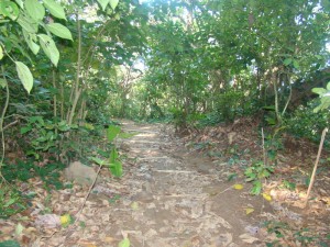 DSC02583