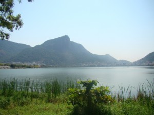 DSC02860