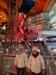 roda gigante da Toys "R" us 