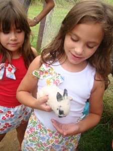 esse coelhinho tinha 15 dias.. muito fofo!