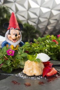 Garden-to-Table Delights at Epcot Fest