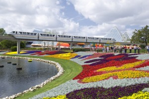 75 dias de muitas cores e flores