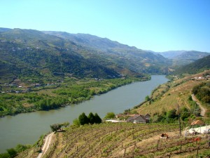Vale do Douro