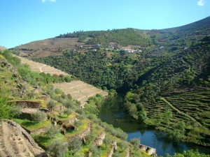Quinta do Panascal - Rio Tàvora