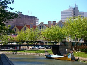 moliceiros na ria de Aveiro 