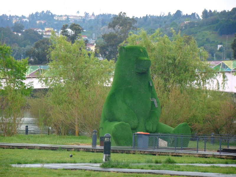 urso do Parque Verde de Mondego