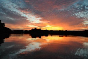 Pantanal