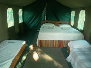 tenda família