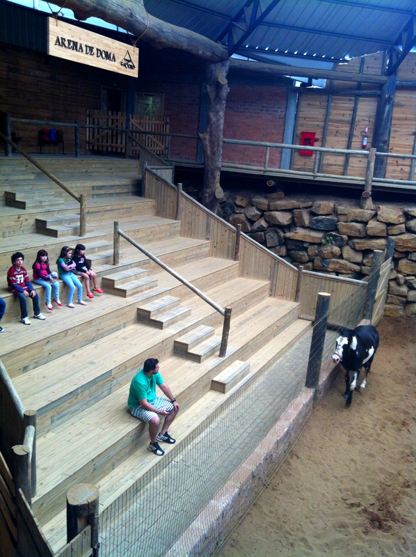 Arena de Doma e meninas na arquibancada com os novos amigos