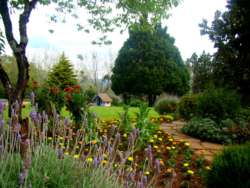 Le Jardin - Parque de Lavanda