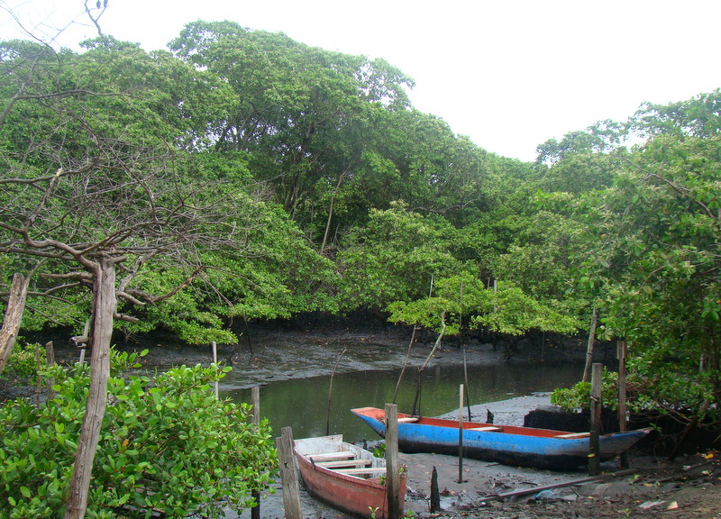 Galpão das Paneleiras de Goiabeira