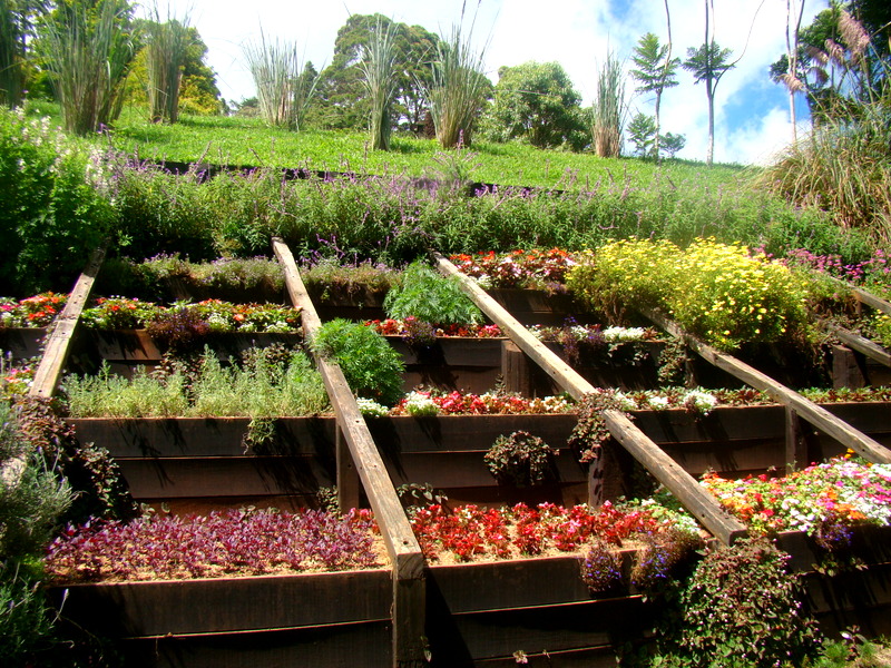 Parque Amantikir