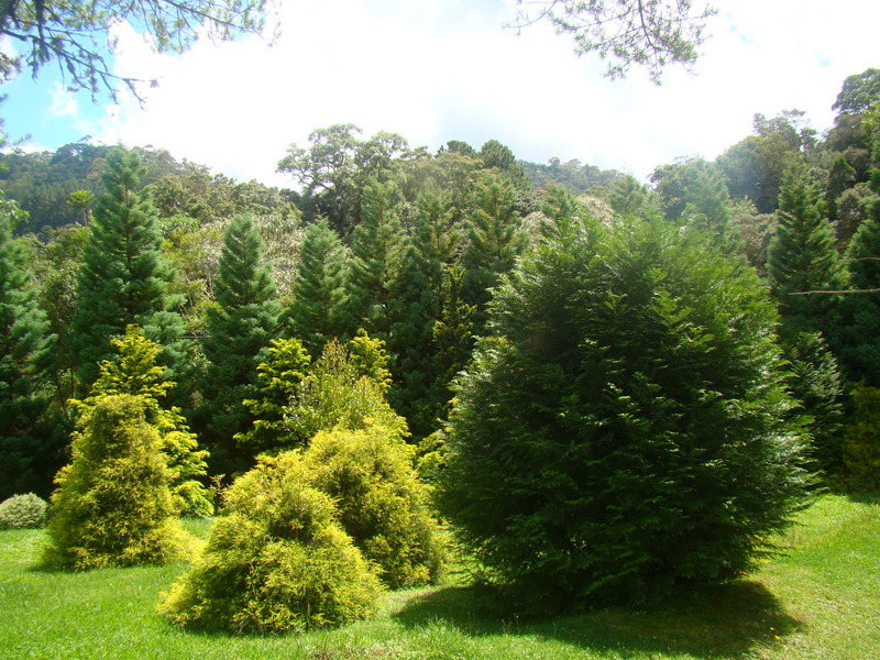 Parque Amantikir
