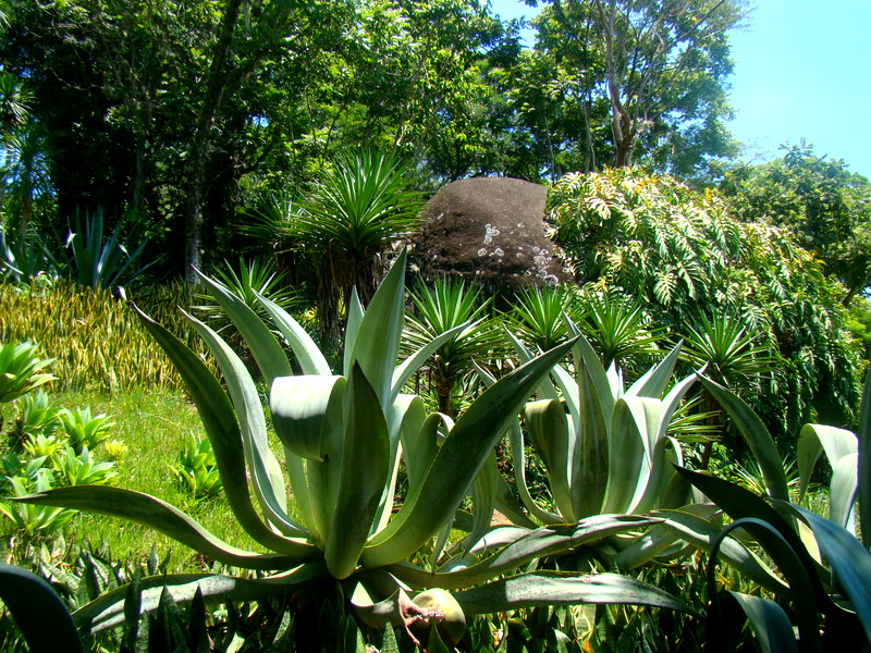 Sítio Burle Marx