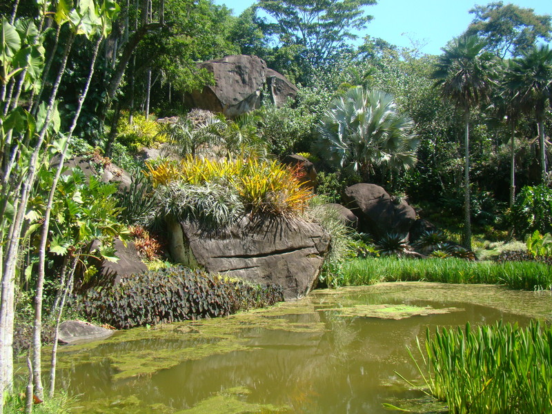 Sítio Burle Marx