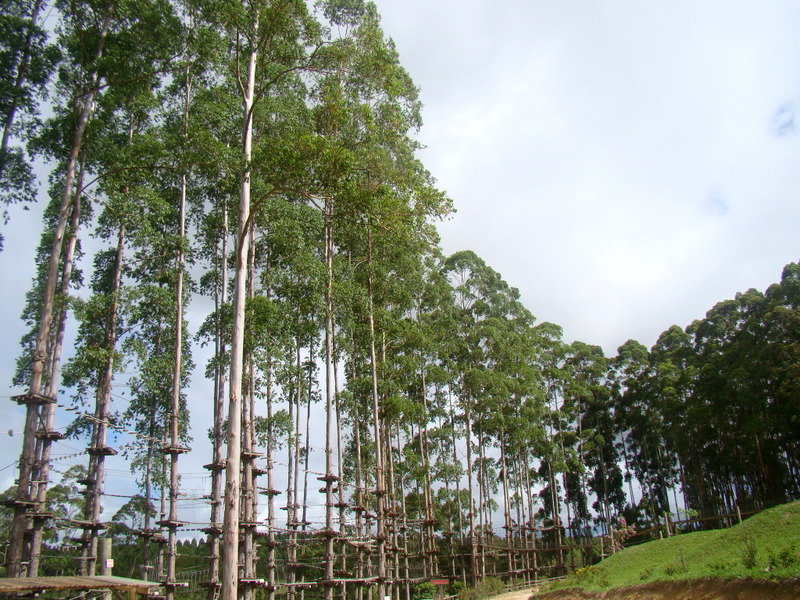 Selva Sassiri - Maior circuito de arvorismo da América do Sul