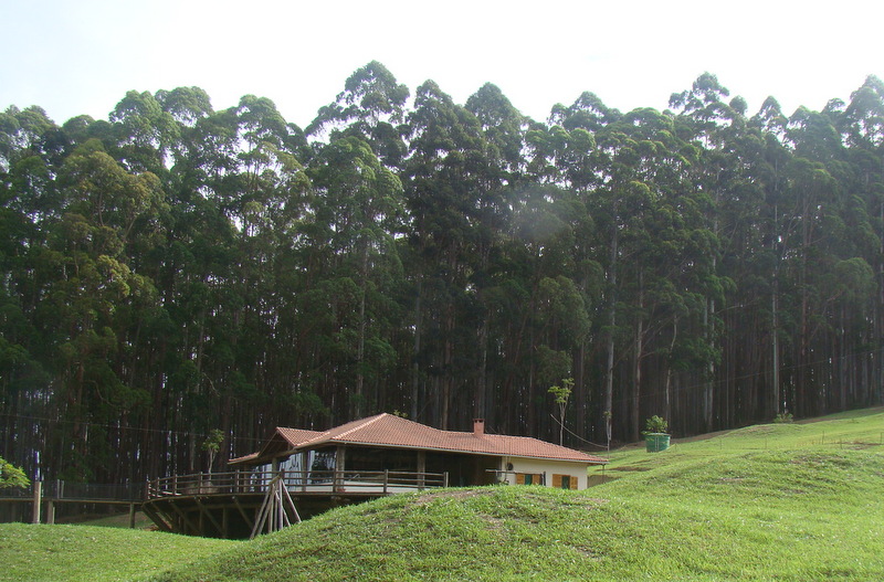 Selva Sassiri - Maior circuito de arvorismo da América do Sul