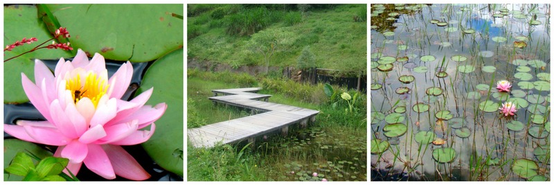 Parque Amantikir