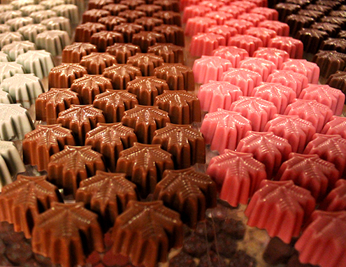 bombons feitos com chocolate nacional Bruno Alves Chocolatier