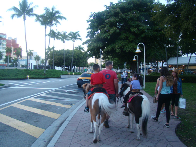 Bayside Marketplace